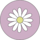 Miss Daisy Canva Lilac Icon